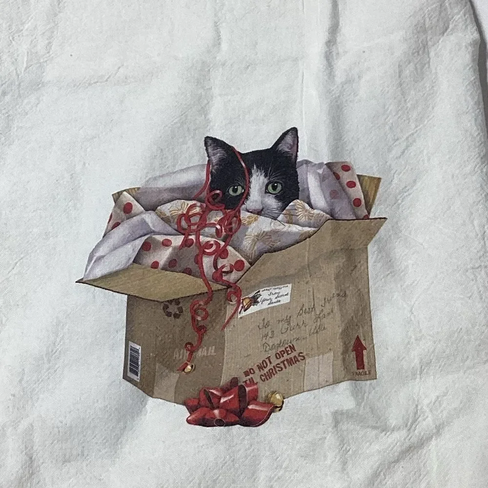 Cat Kitchen Dishtowel Lot of 2 Christmas Cat In box World Market Cats Towel